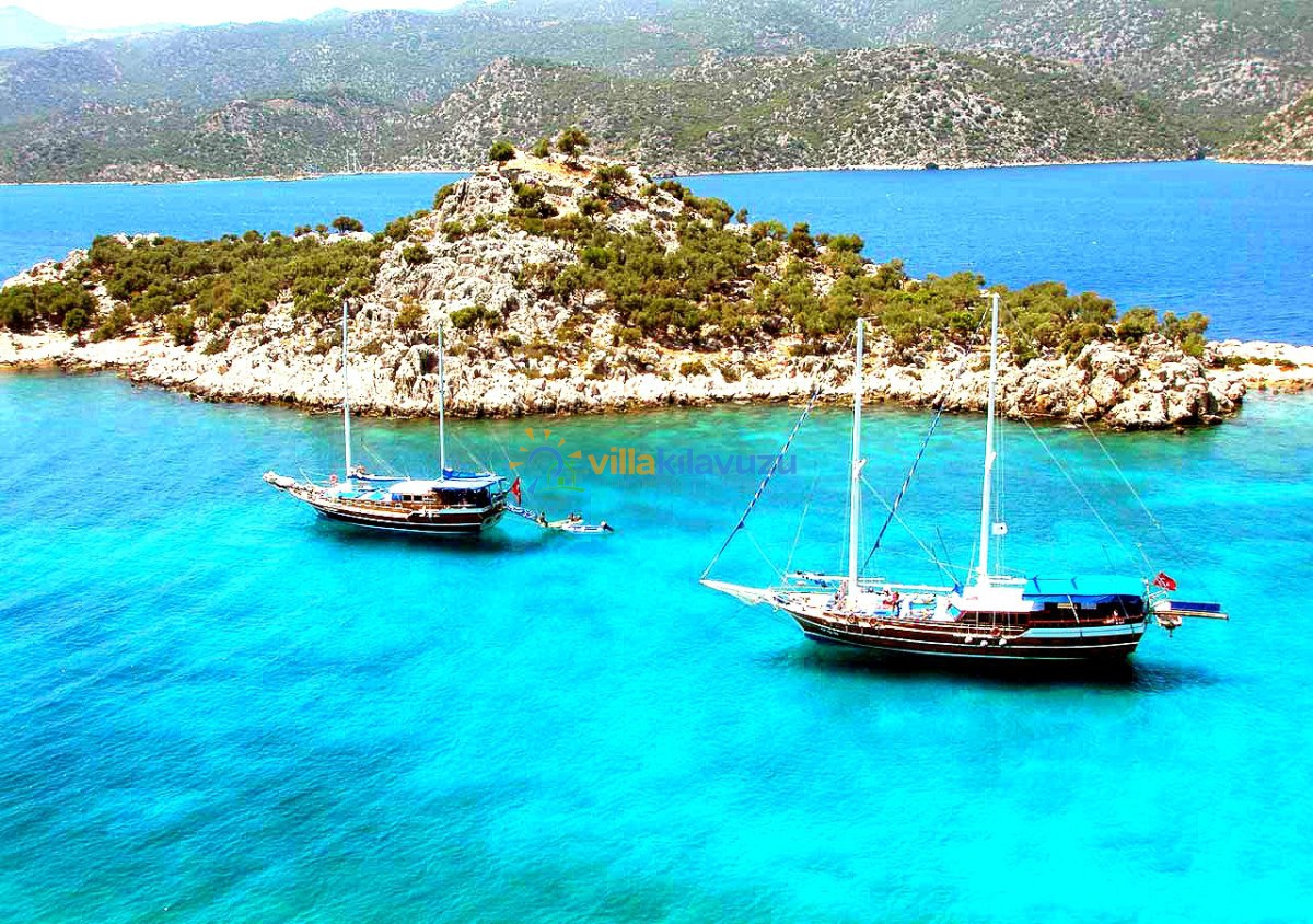 Boat Tours and Villa Holiday
