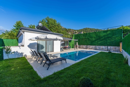 Villa Limon Kayaköys